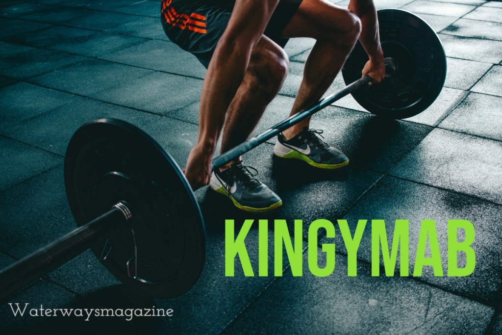 How to Get Started with Kingymab: Step-by-Step Guide