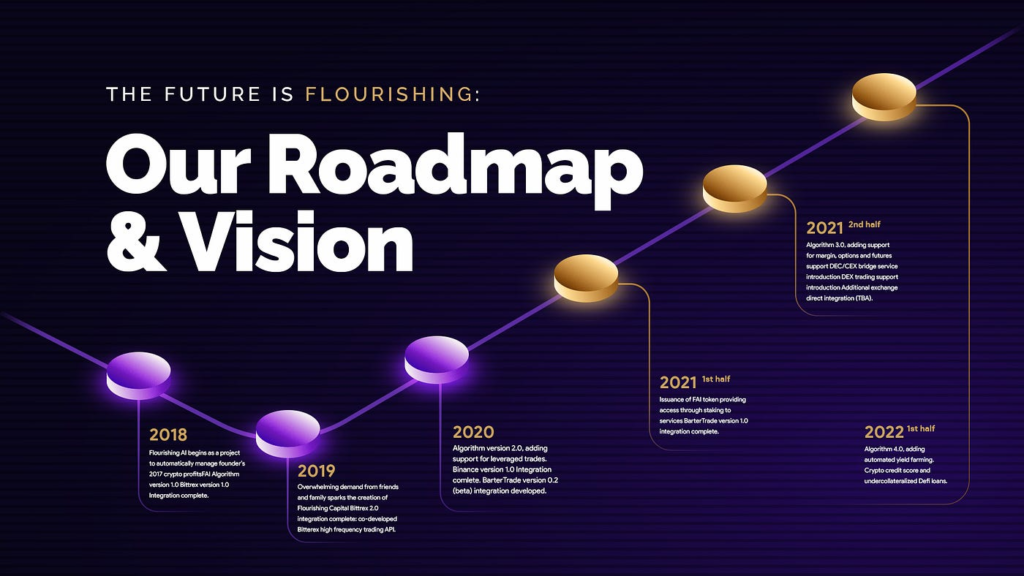 Future Vision and Roadmap: 