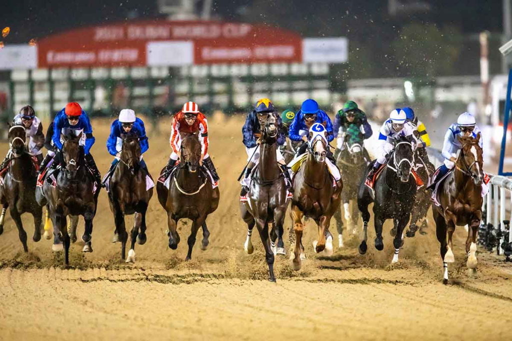 Where Can You Find Arcenturf Races – Track Race Sites!